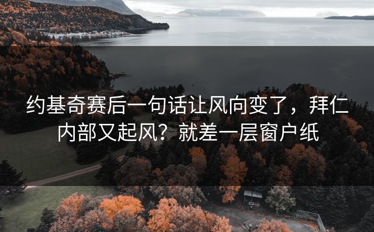 约基奇赛后一句话让风向变了，拜仁内部又起风？就差一层窗户纸